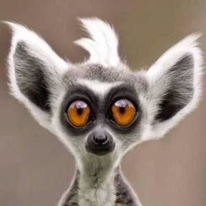 Meet your Posher, Bradley